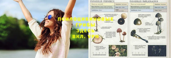 не бодяженный Балахна