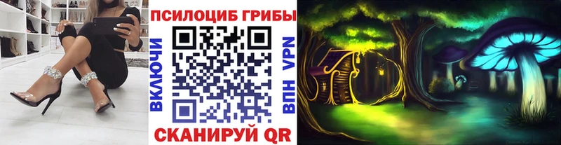 Галлюциногенные грибы GOLDEN TEACHER Красный Холм